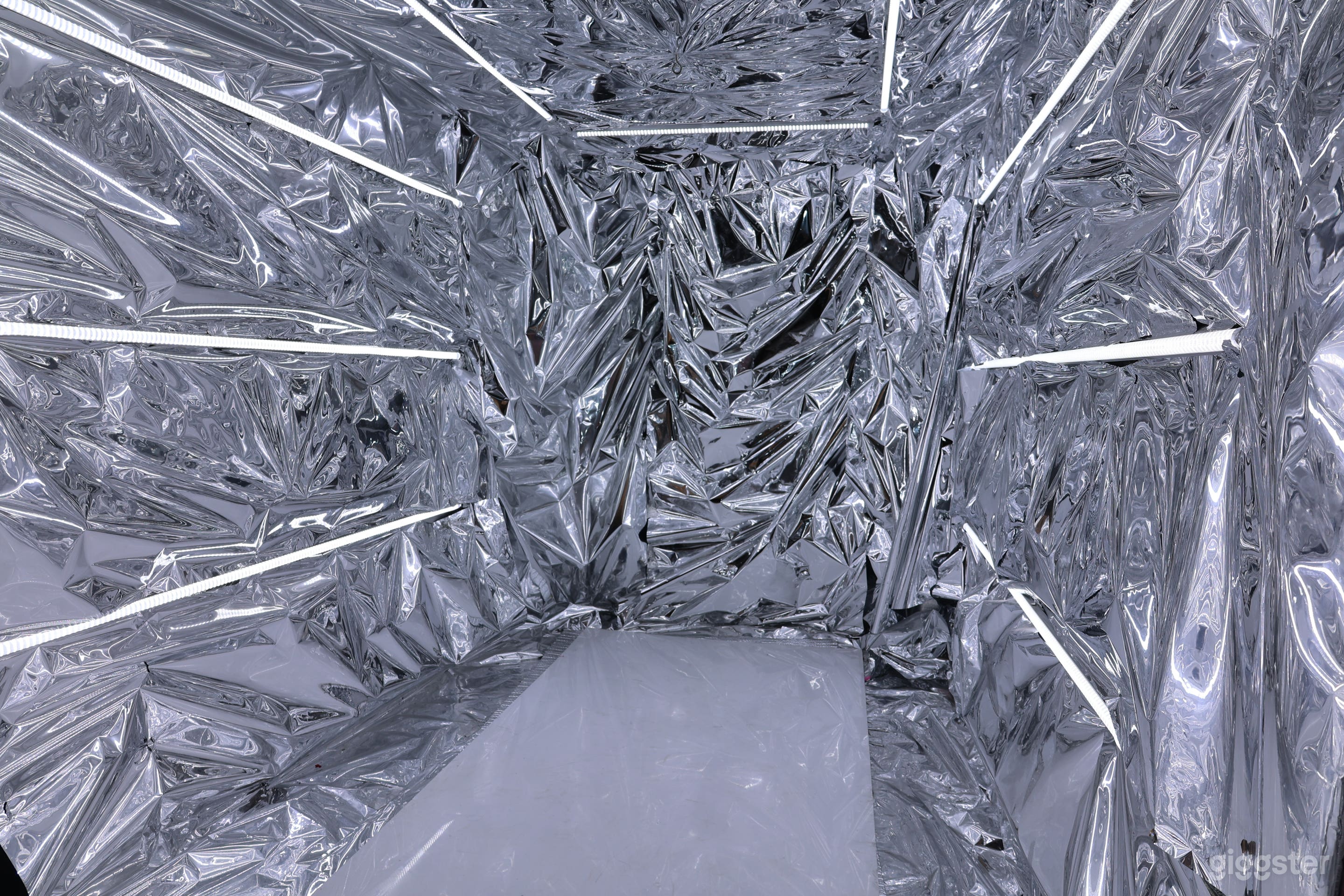 Silver Surfer Photo 2