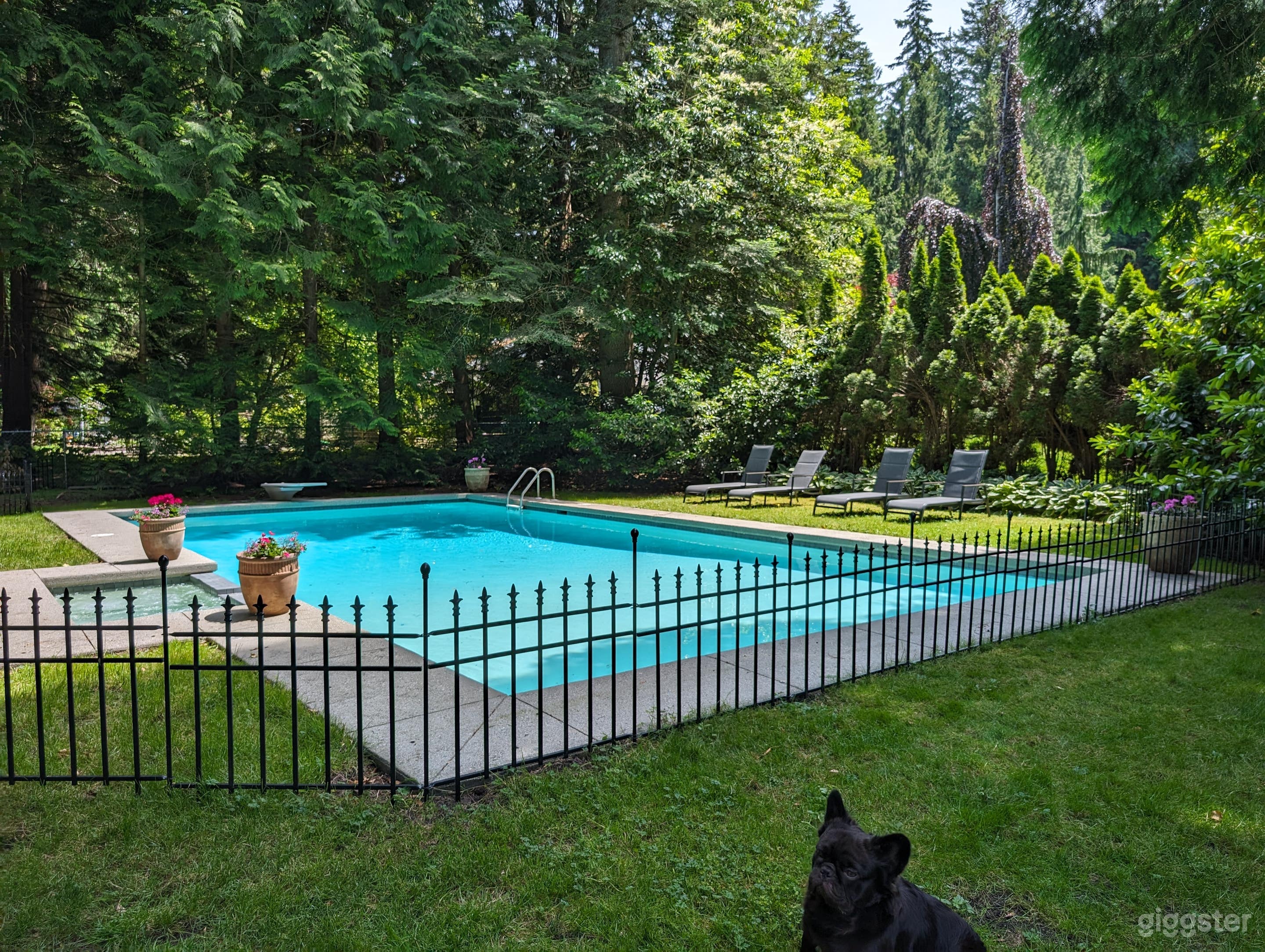 Tailor-Made Home + Pool and Hot Tub on 1 Acre Parklike Setting Photo 4