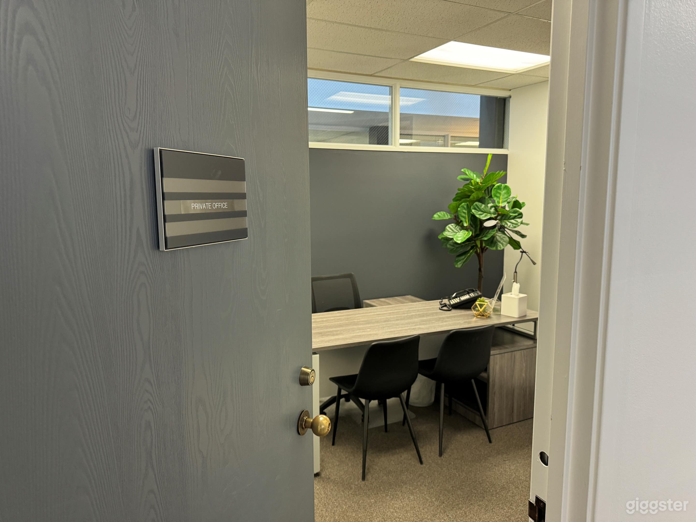 The door to the 3 person private office with plant for company