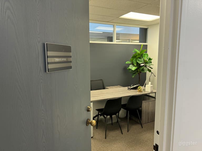  The door to the 3 person private office with plant for company 