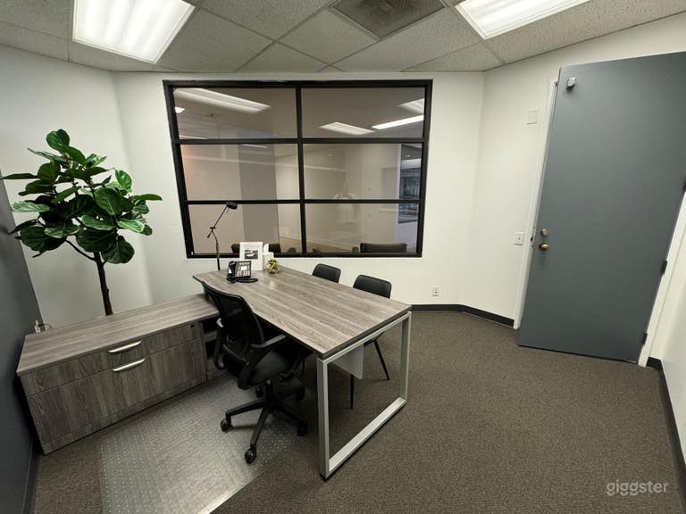  3 person private office with plant for company 