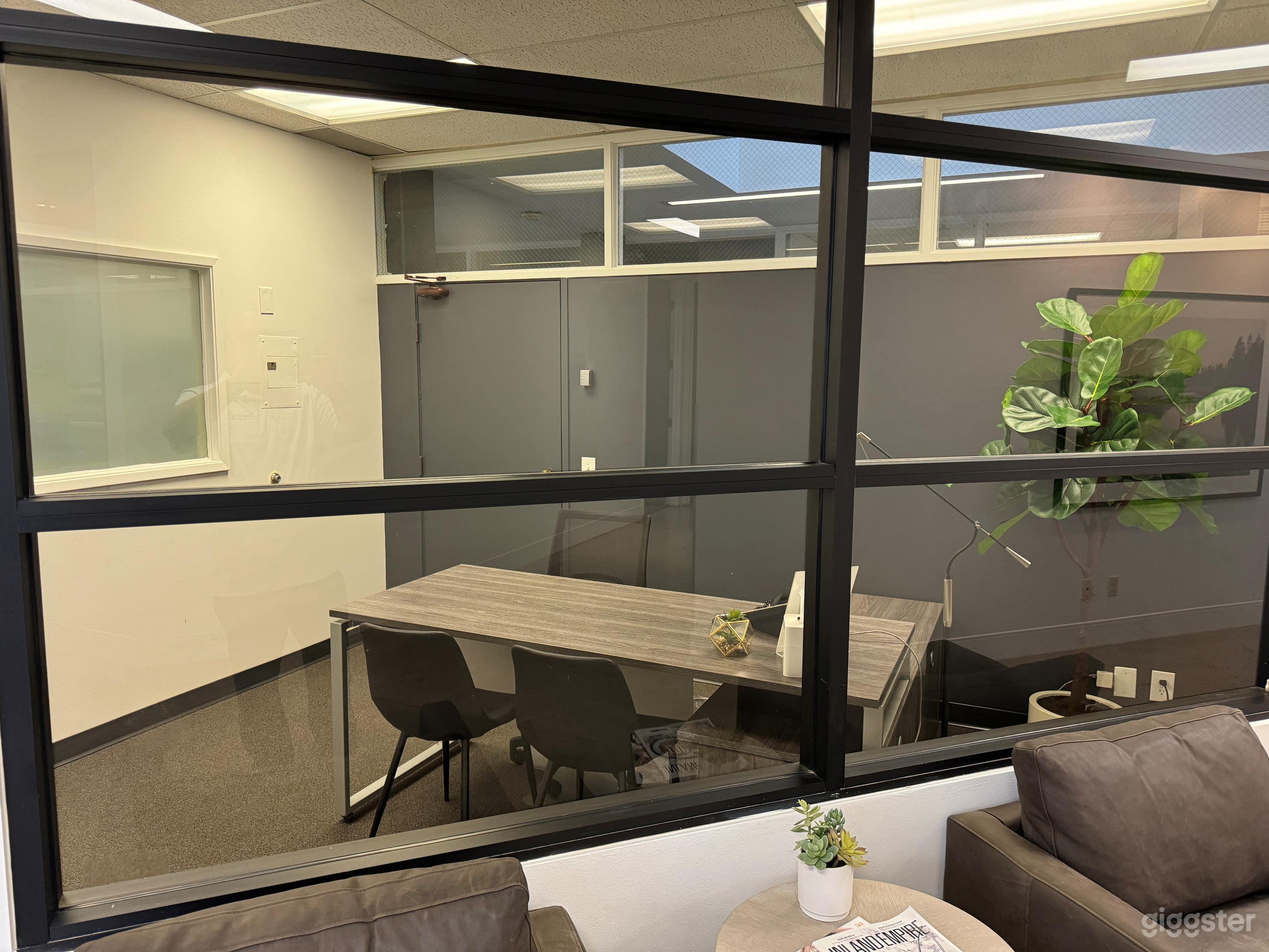Peeking into the 3 person private office with plant for company