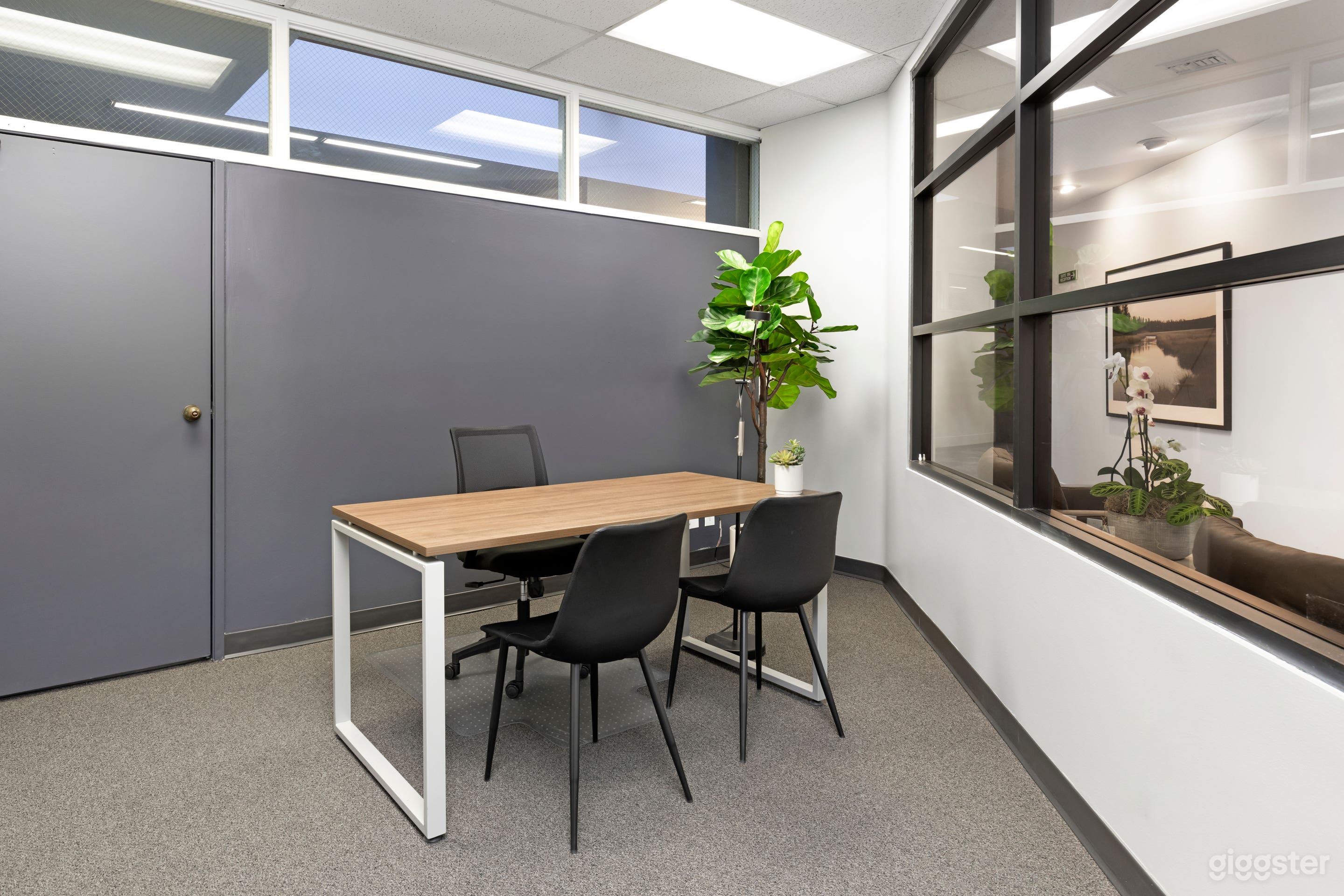 3 person private office with plant for company