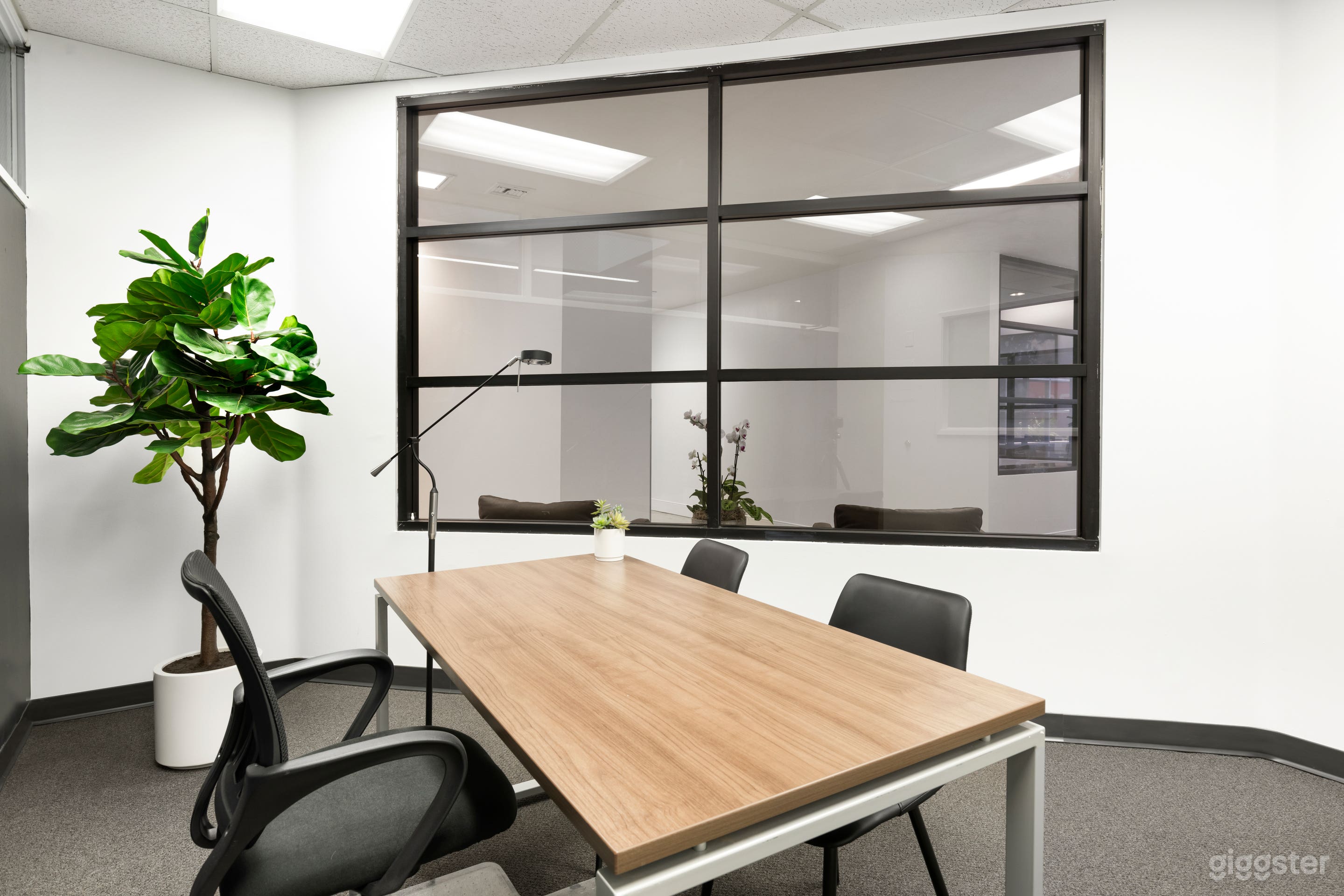 3 person private office with plant for company