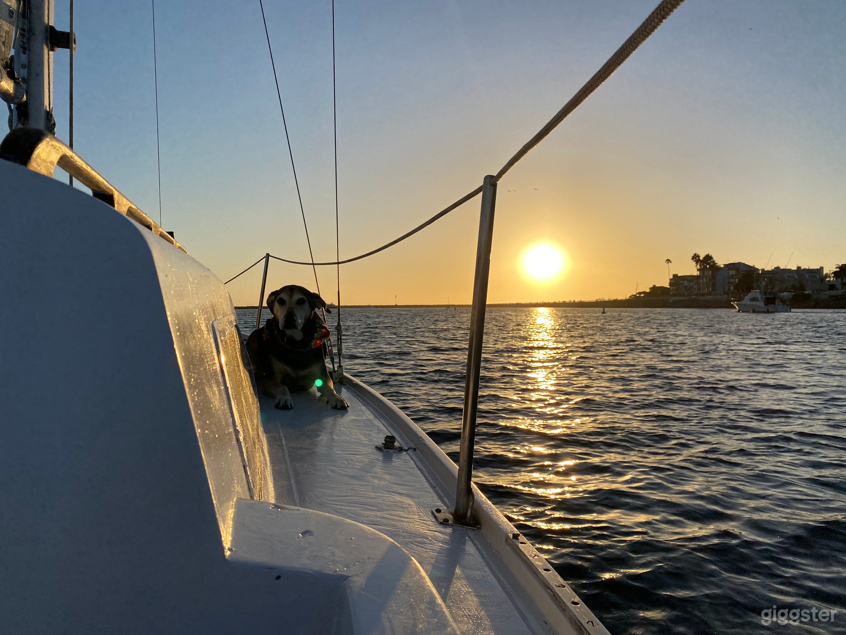 A Retro-Chic 1960’s Sailing Experience Photo 4