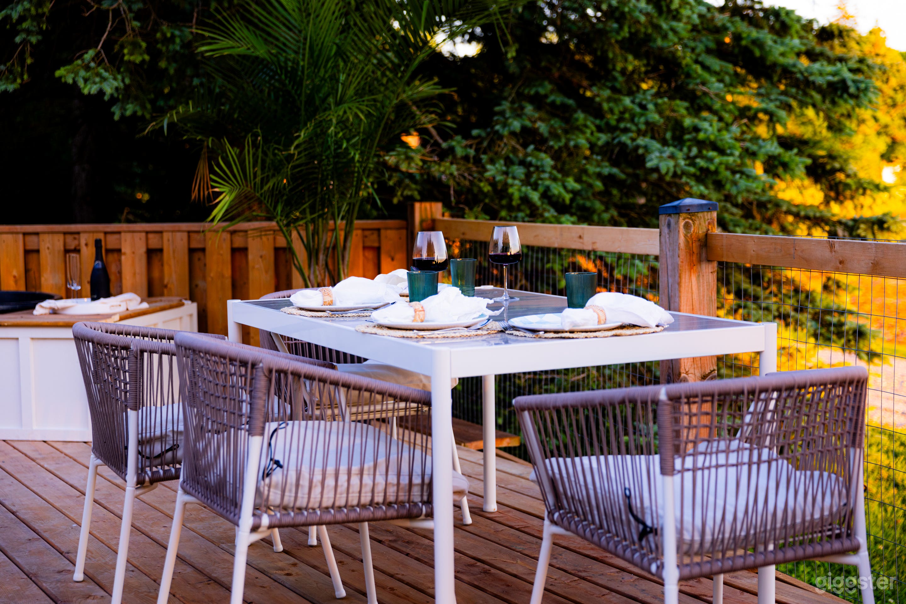 The White House  Photo 3