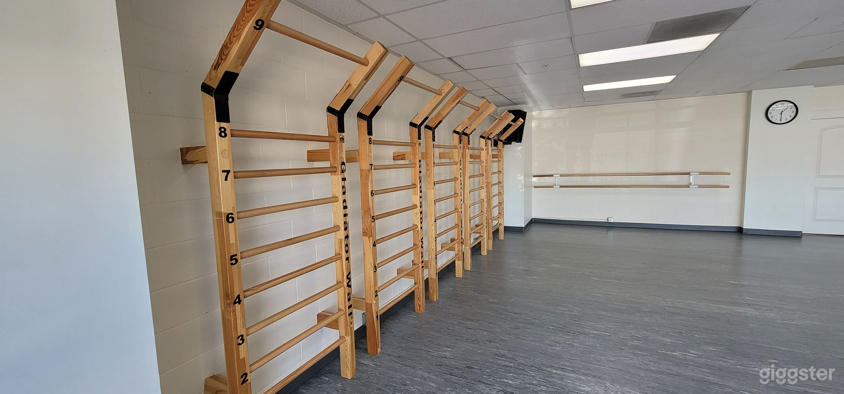 Studio D & E Fitness Wall