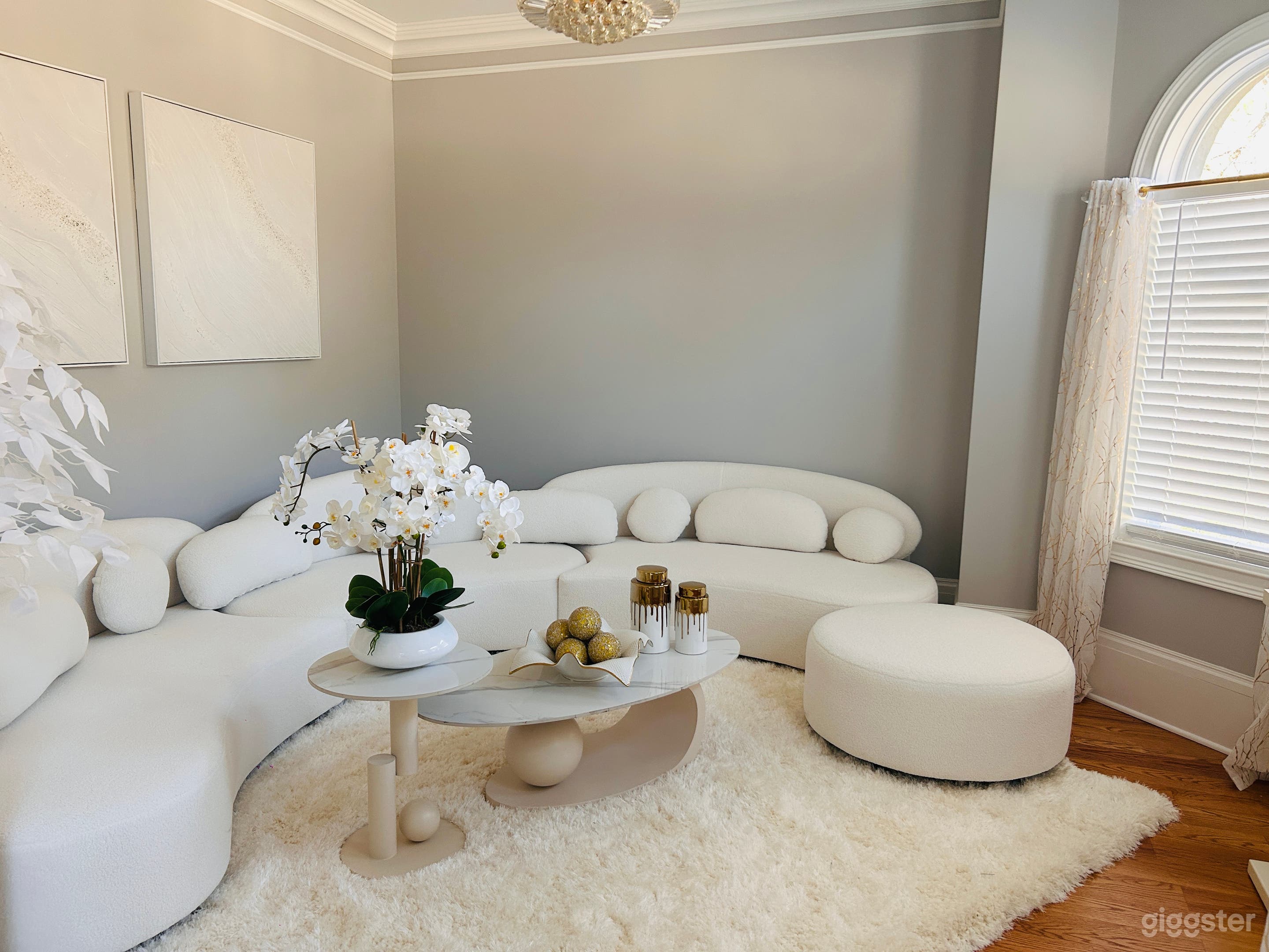 Atlanta Contemporary Modern Mansion Photo 2