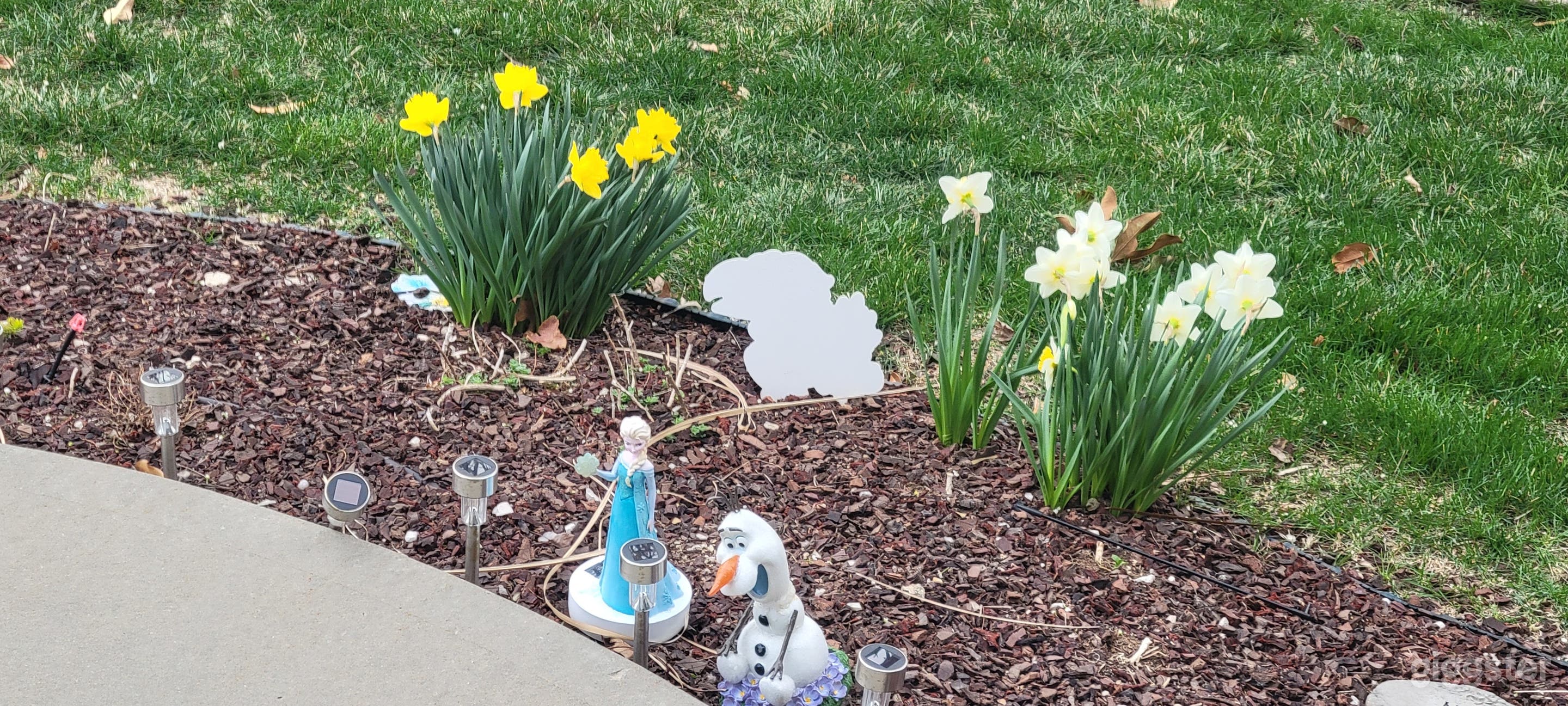 Get great pics in a suburban oasis by the lake. Photo 2