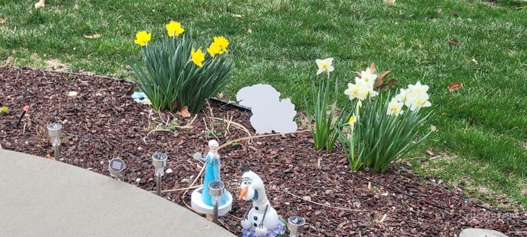  Get great pics in a suburban oasis by the lake. 