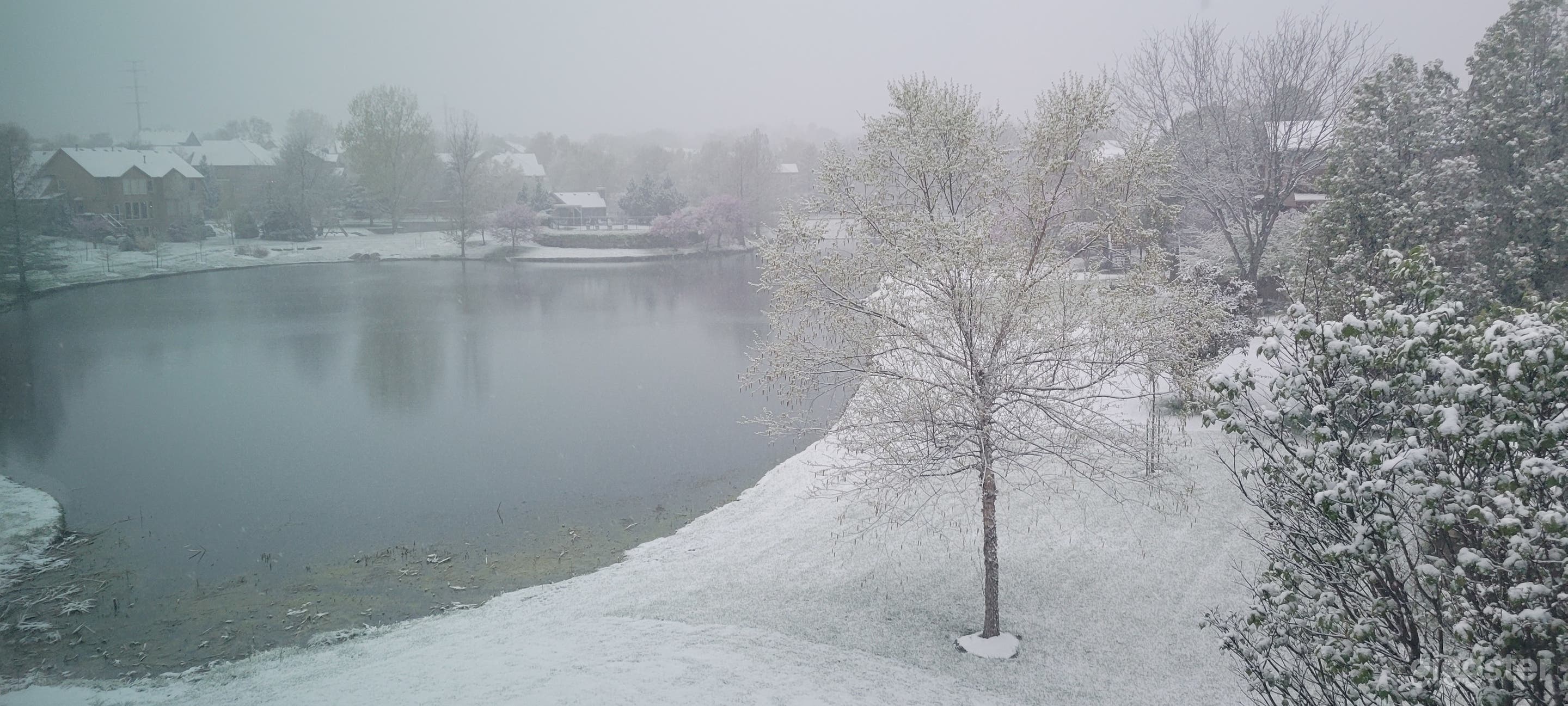 Get great pics in a suburban oasis by the lake. Photo 3