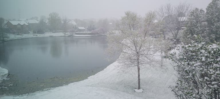  Get great pics in a suburban oasis by the lake. 