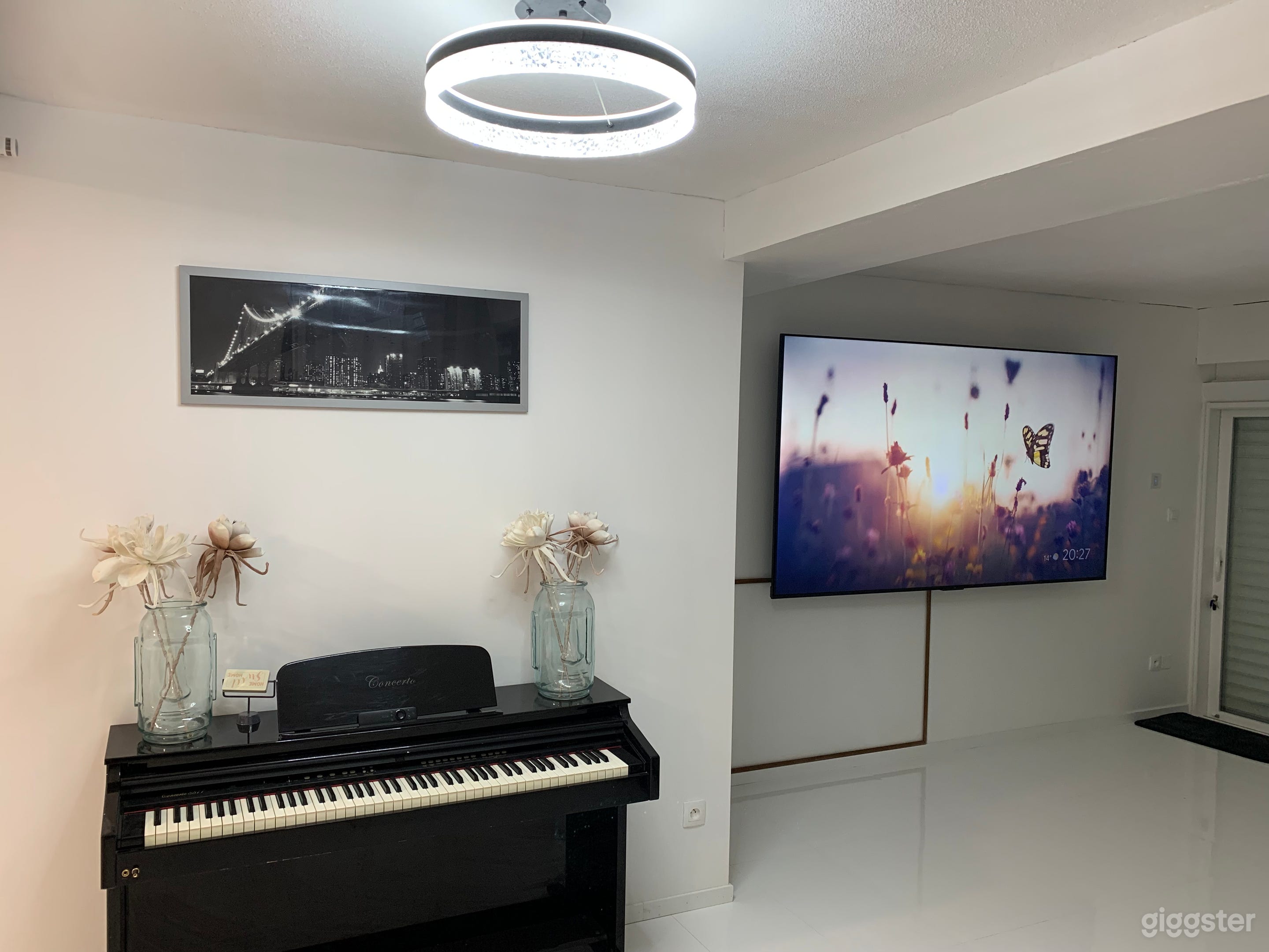 Light Controlled Basement, Hot Tub, Chef’s Kitchen Photo 1