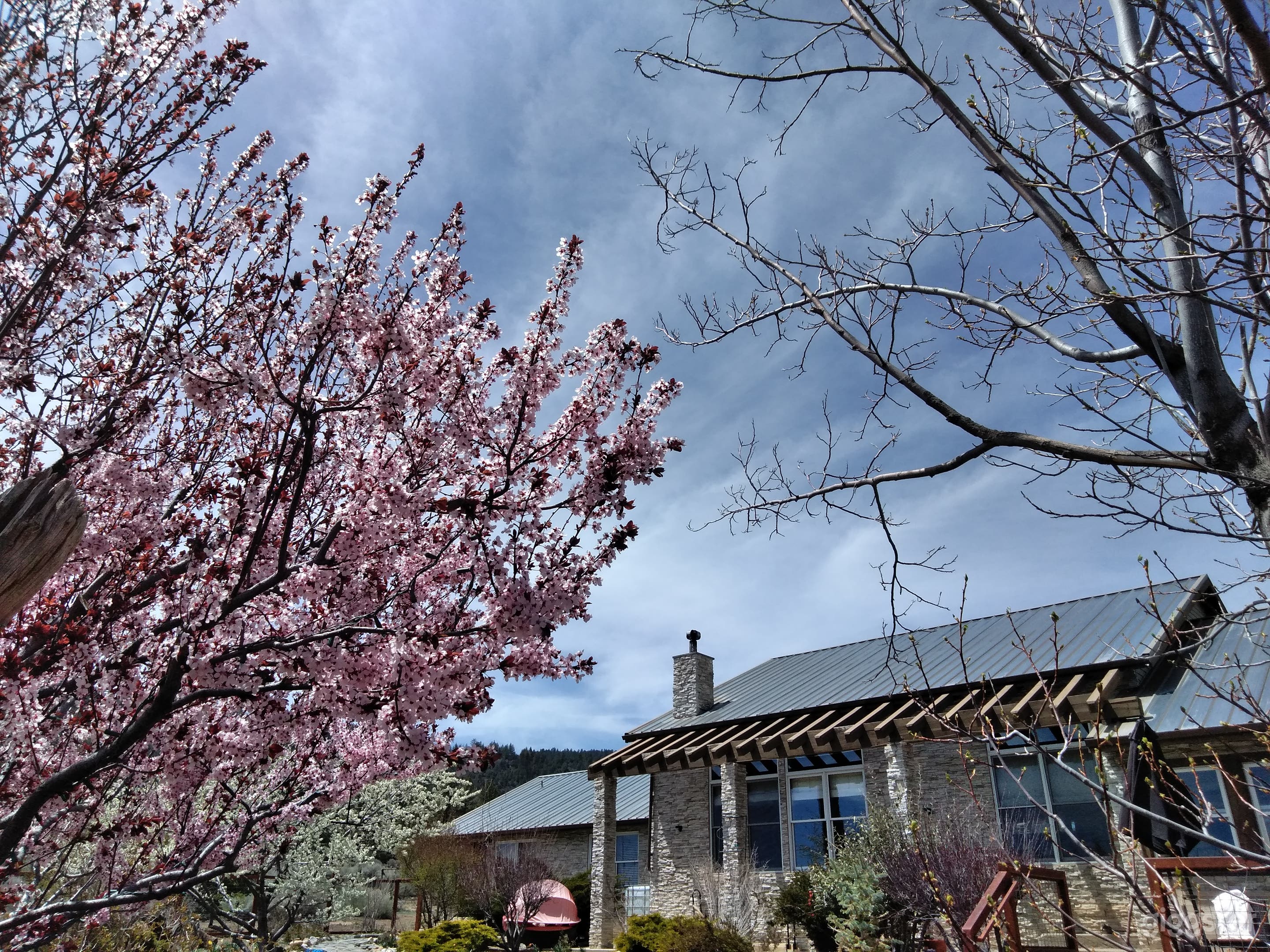 Frequency Ranch  Photo 2