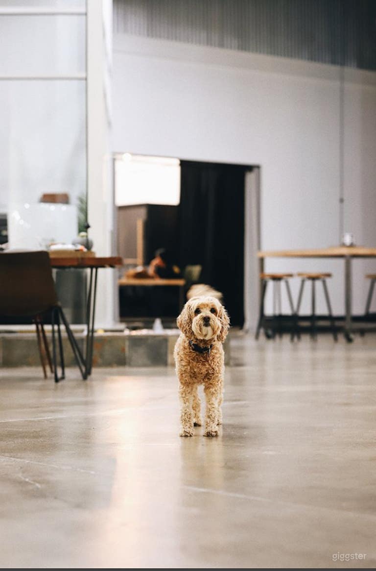  Versatile Common Area: Your Ideal Workspace 