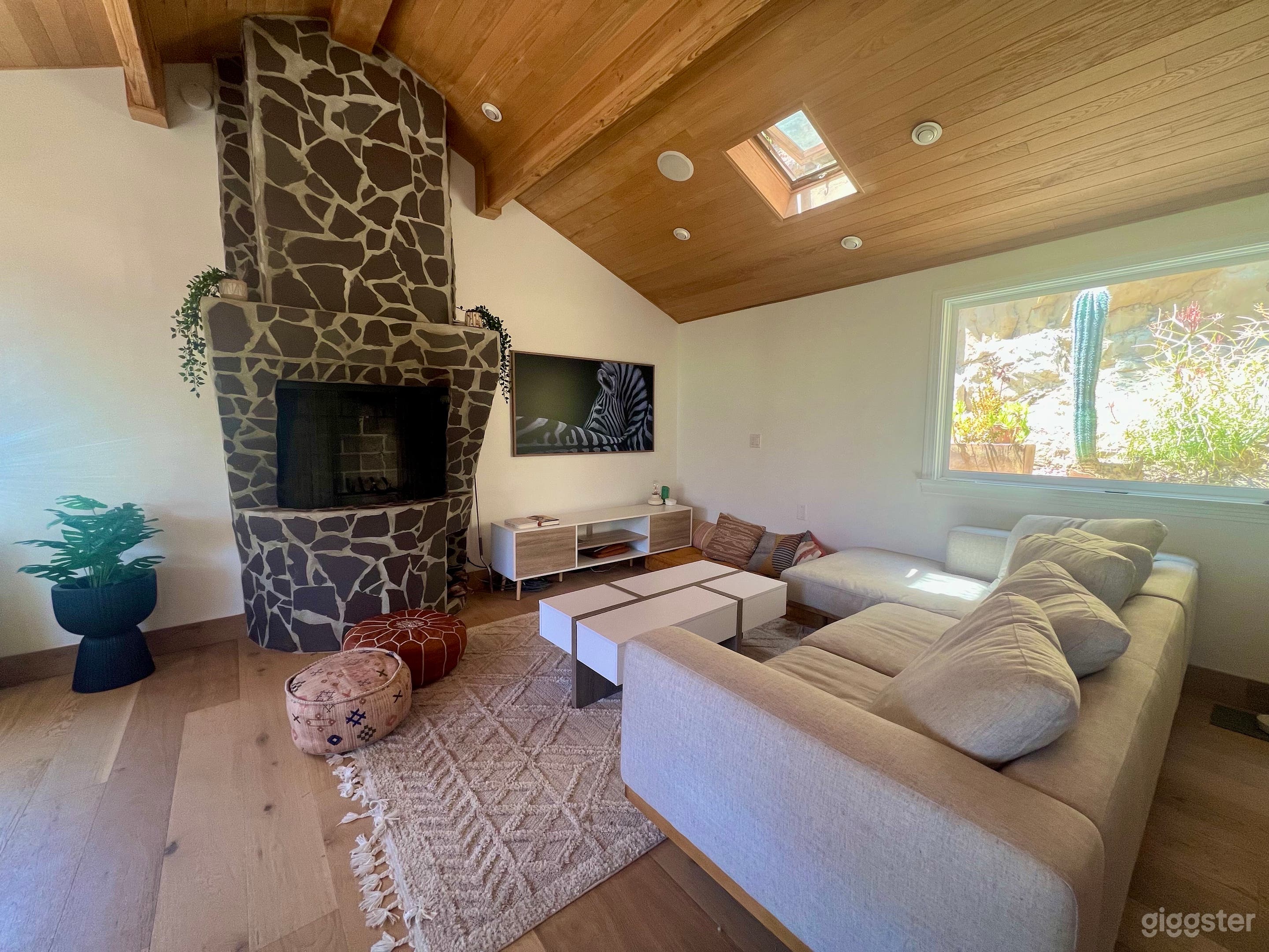 Samsung Frame TV on right side of the fireplace. Can change to any photo / painting.