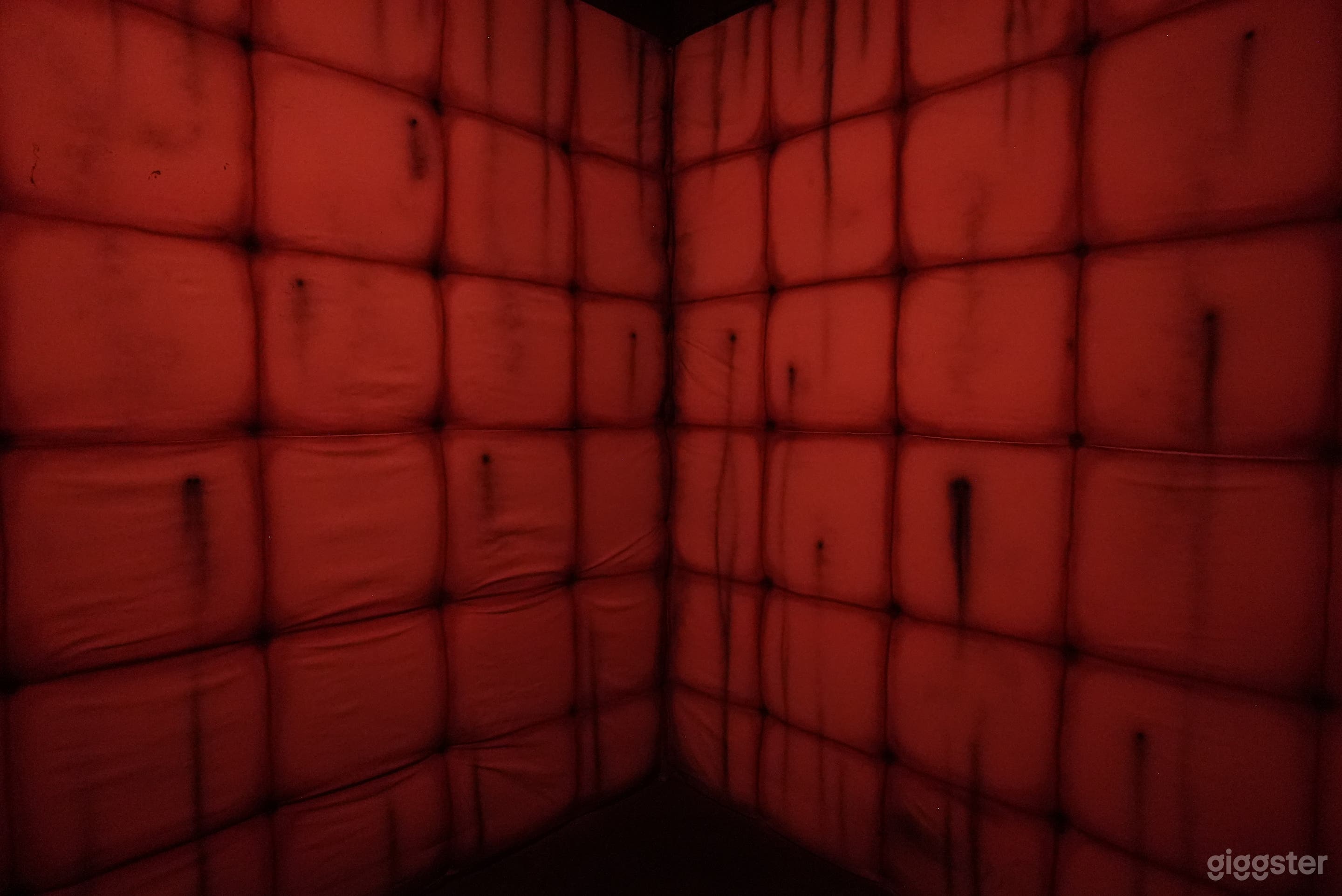 A Padded Asylum Room Photo 4