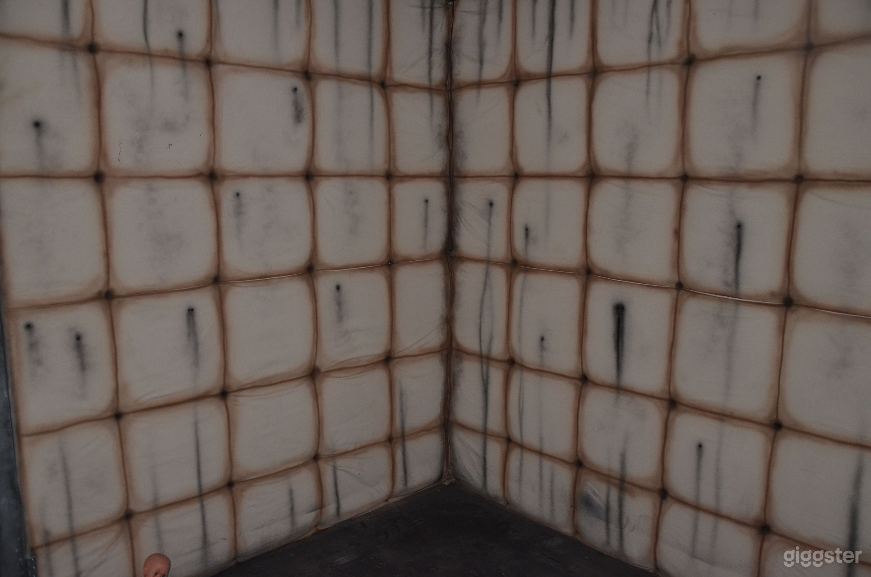 A Padded Asylum Room Photo 3