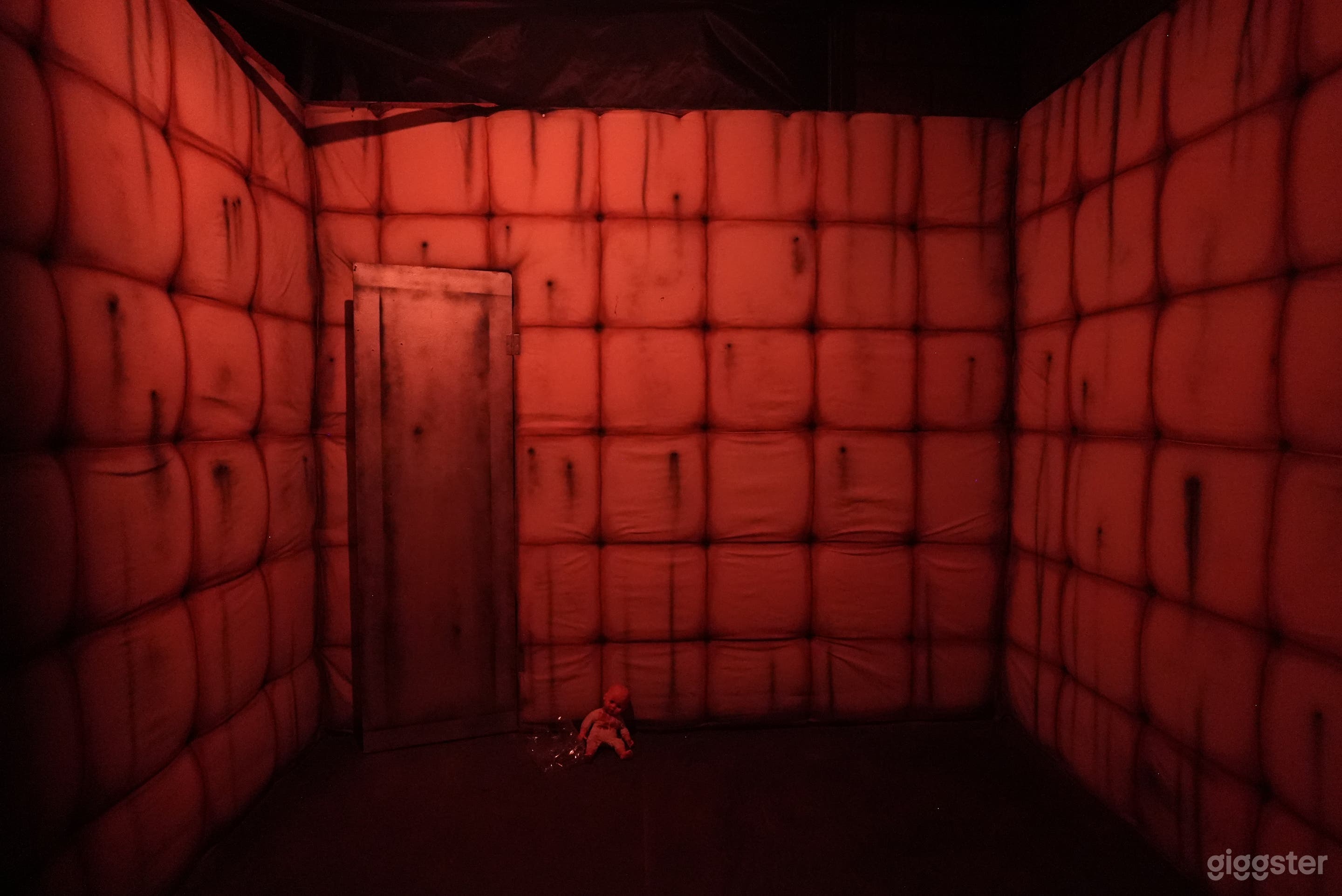 A Padded Asylum Room Photo 1