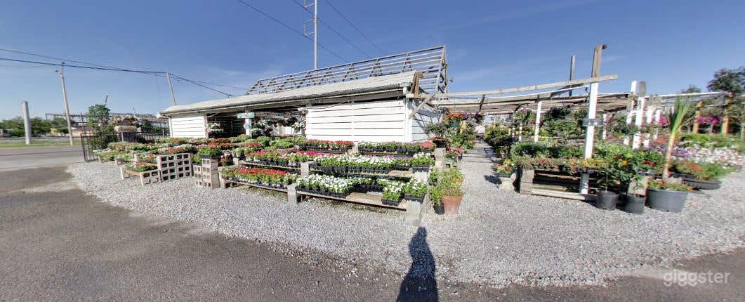 The Plant Gallery Photo 2