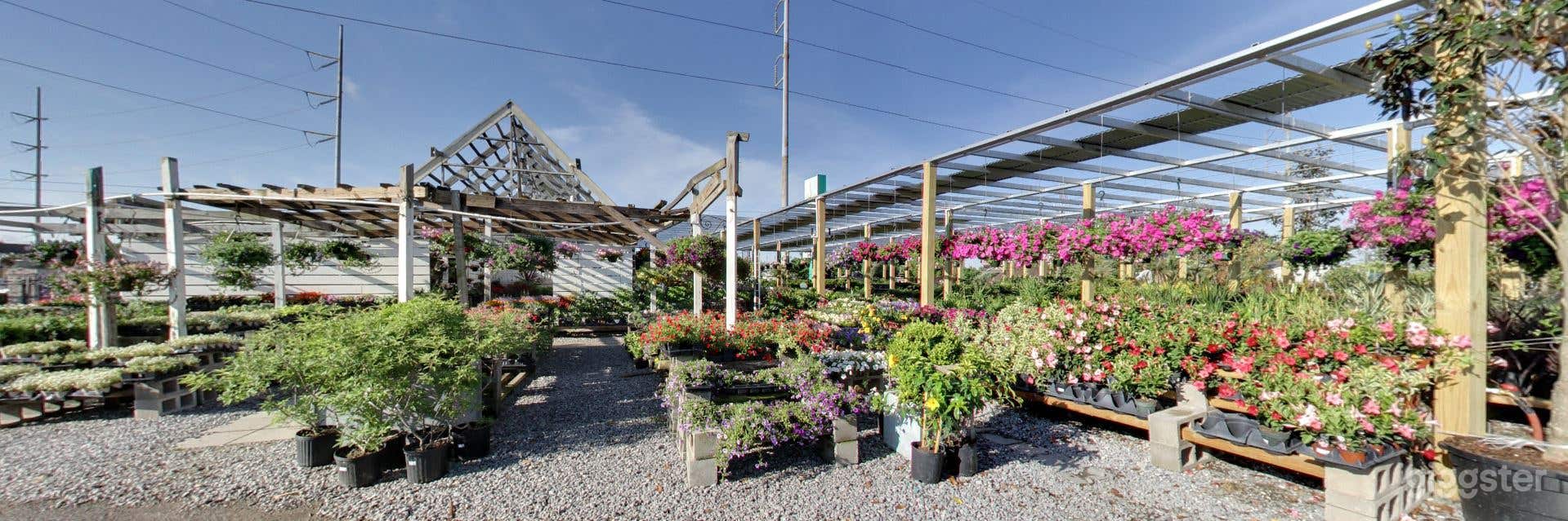 The Plant Gallery Photo 4