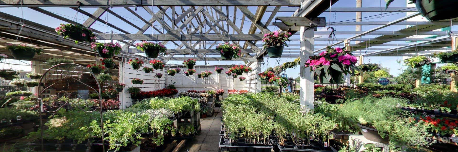 The Plant Gallery Photo 1