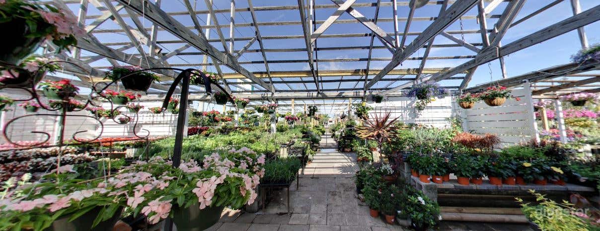 The Plant Gallery Photo 3