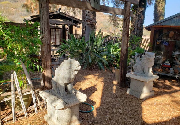  Versatile Open-Air Patio 