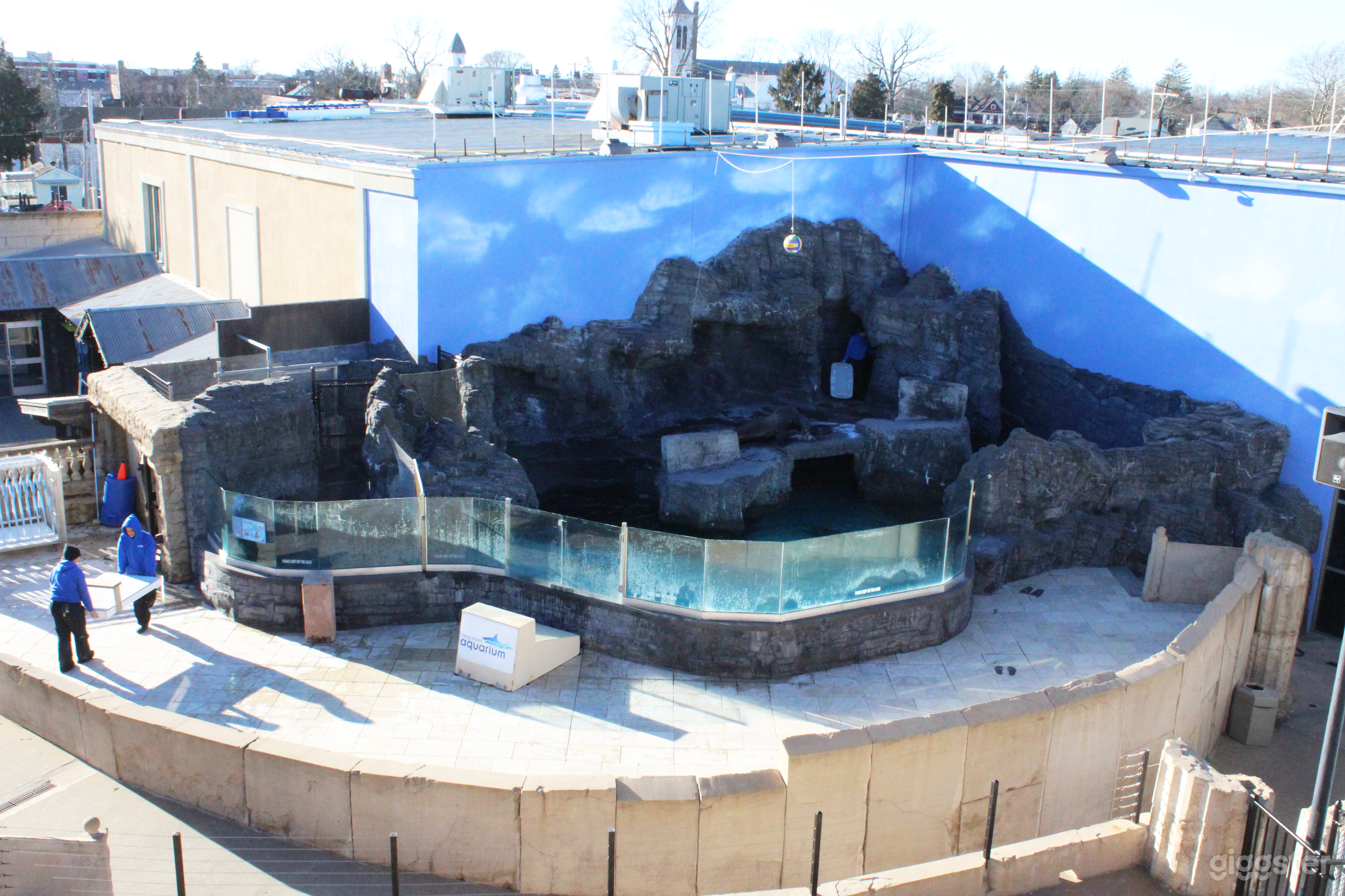 Outdoor Coliseum Stadium - Aquarium in Riverhead, NY Photo 3