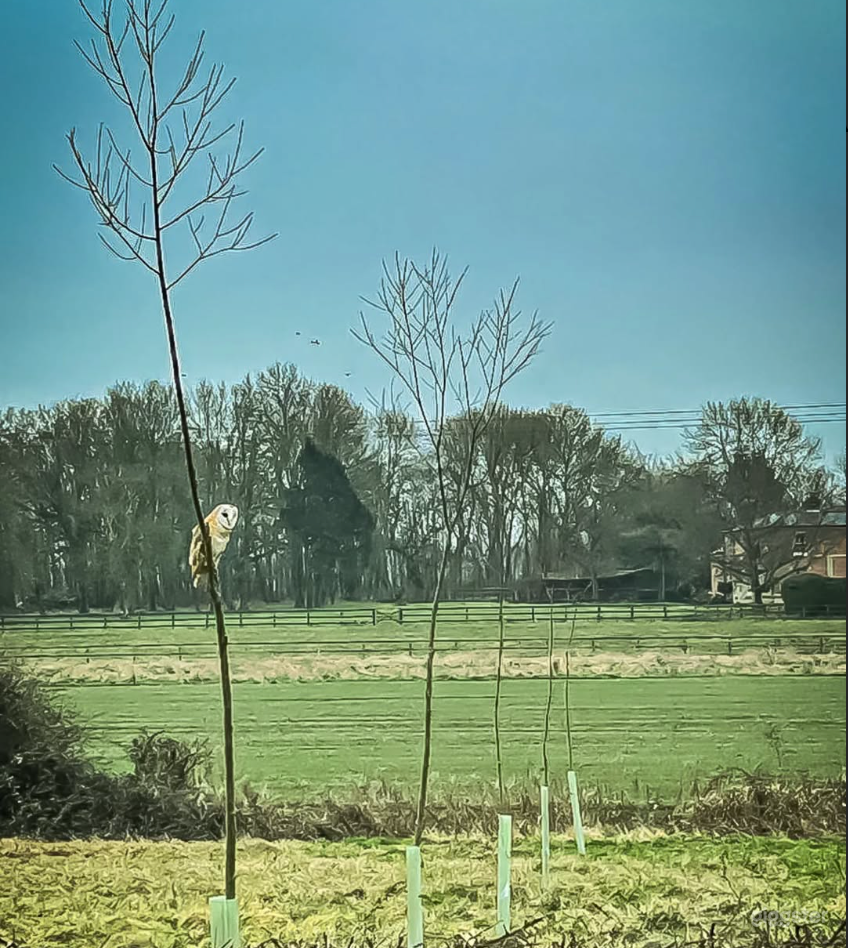 Spacious Outdoor Garden with Good Views Photo 3