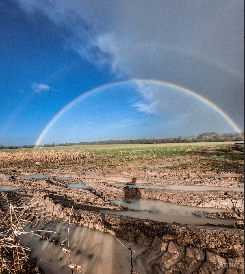Spacious Outdoor Garden with Good Views Photo 2