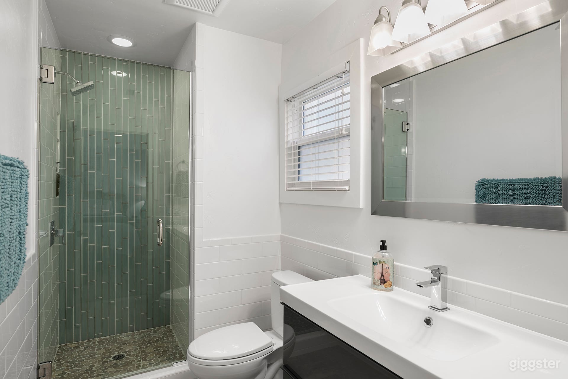 Downstairs Master Bathroom
