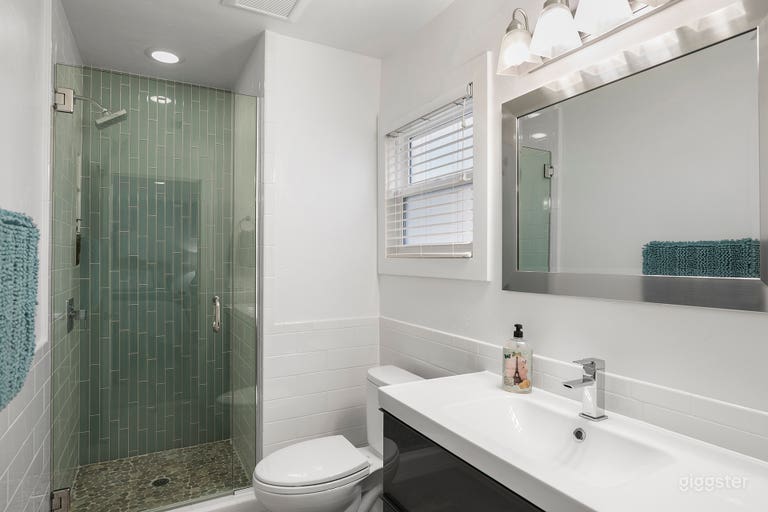  Downstairs Master Bathroom 