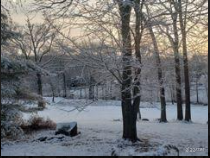 Charming Outdoor Venue in Monroe Township Photo 3