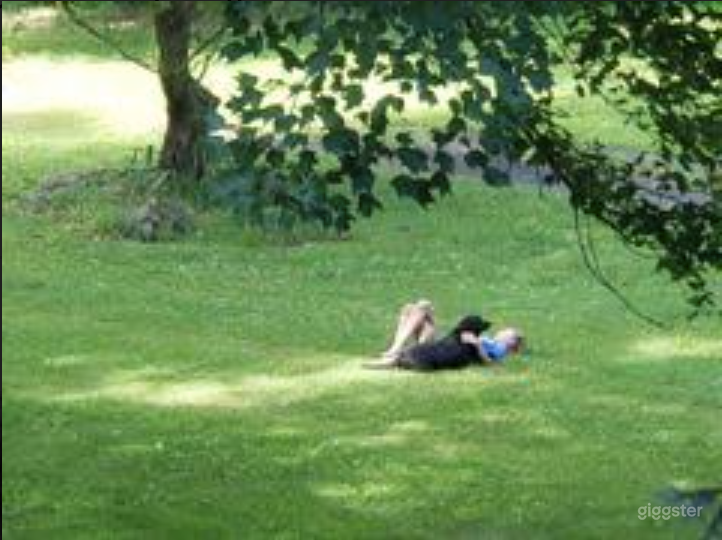  Grassy outdoor in summers 