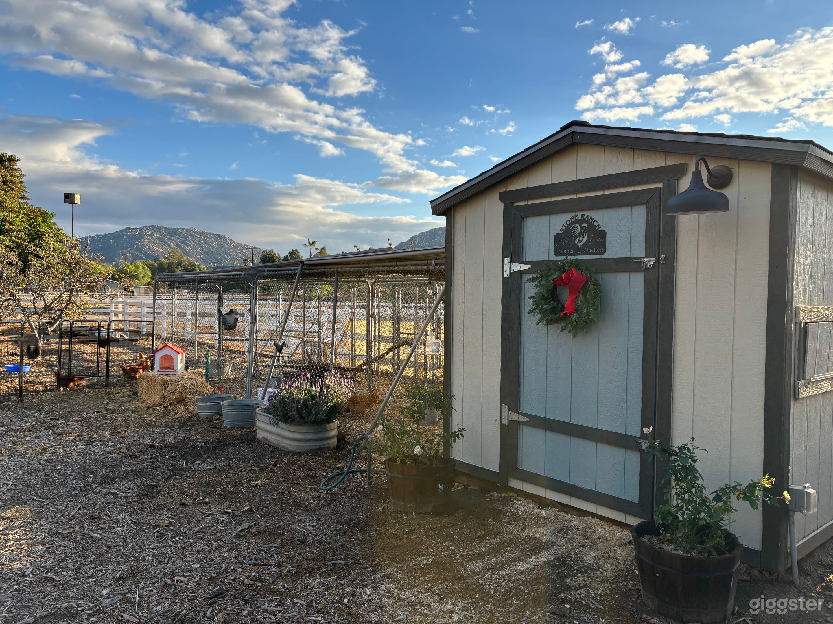 Chicken Coop