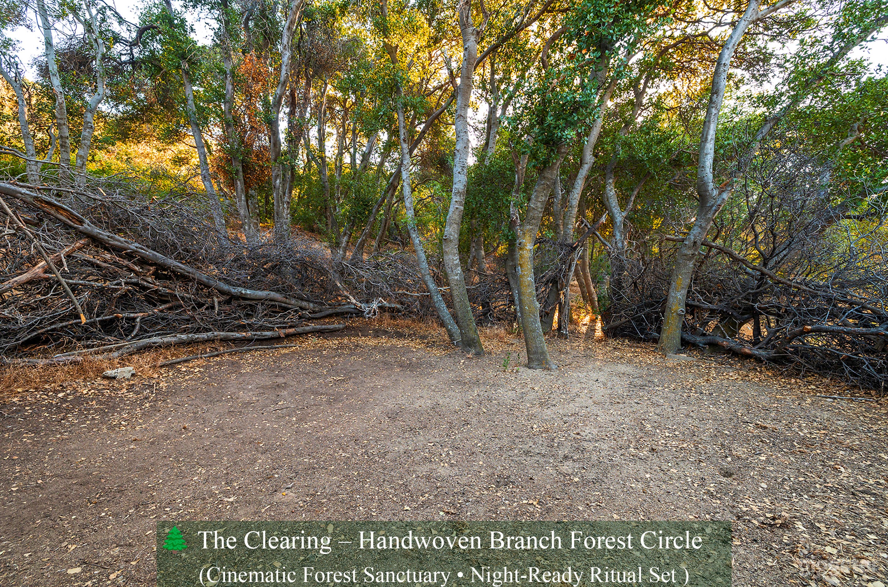 The Clearing – Ephemeral Forest Circle | Natural Set Photo 1
