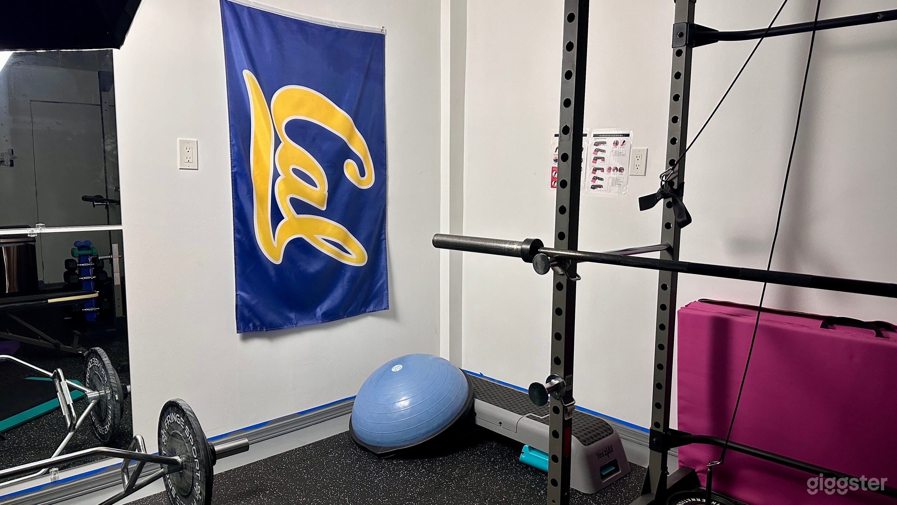 Full garage gym with wall mirror Photo 3