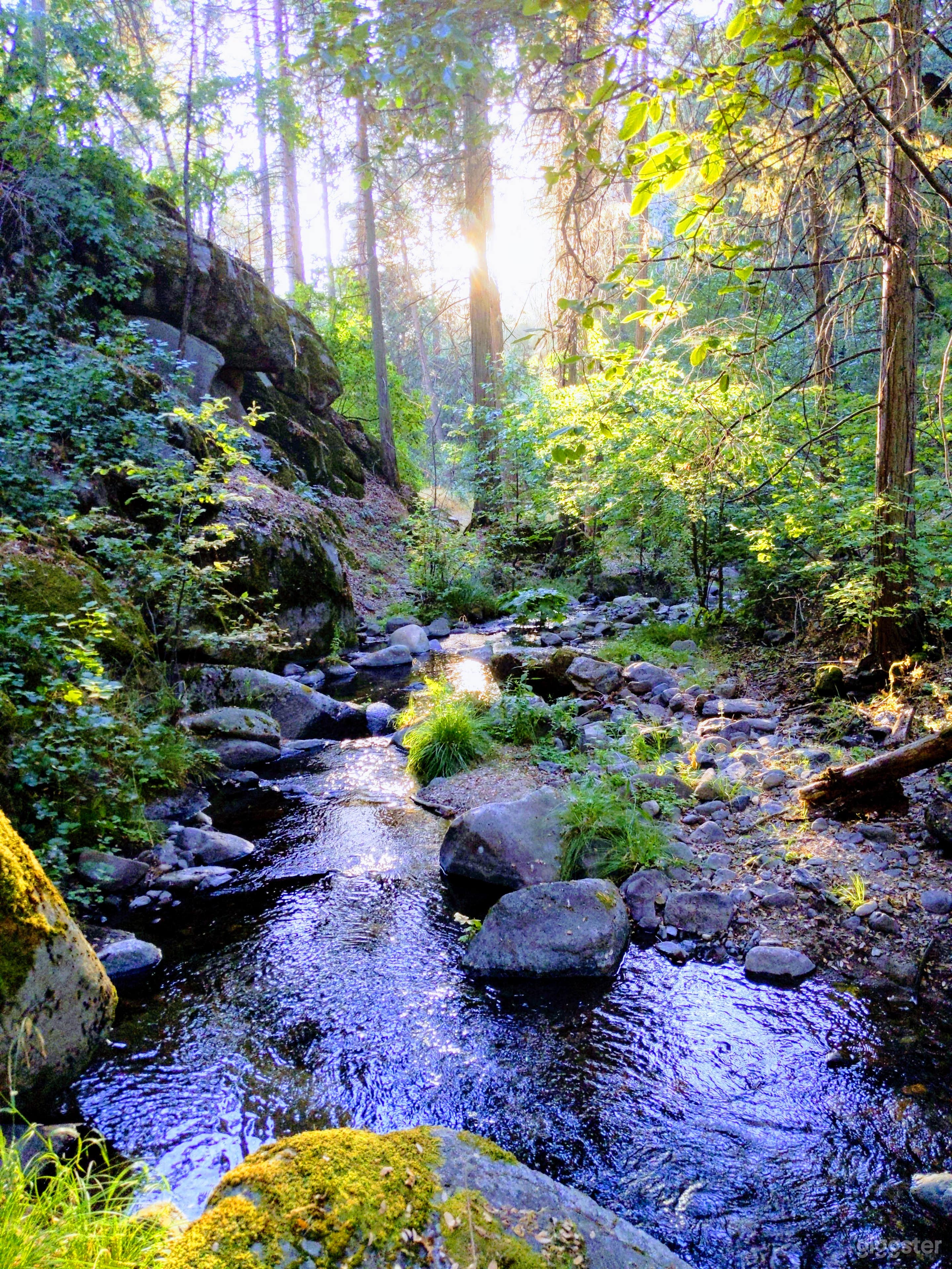 Creek as the Sun is dropping