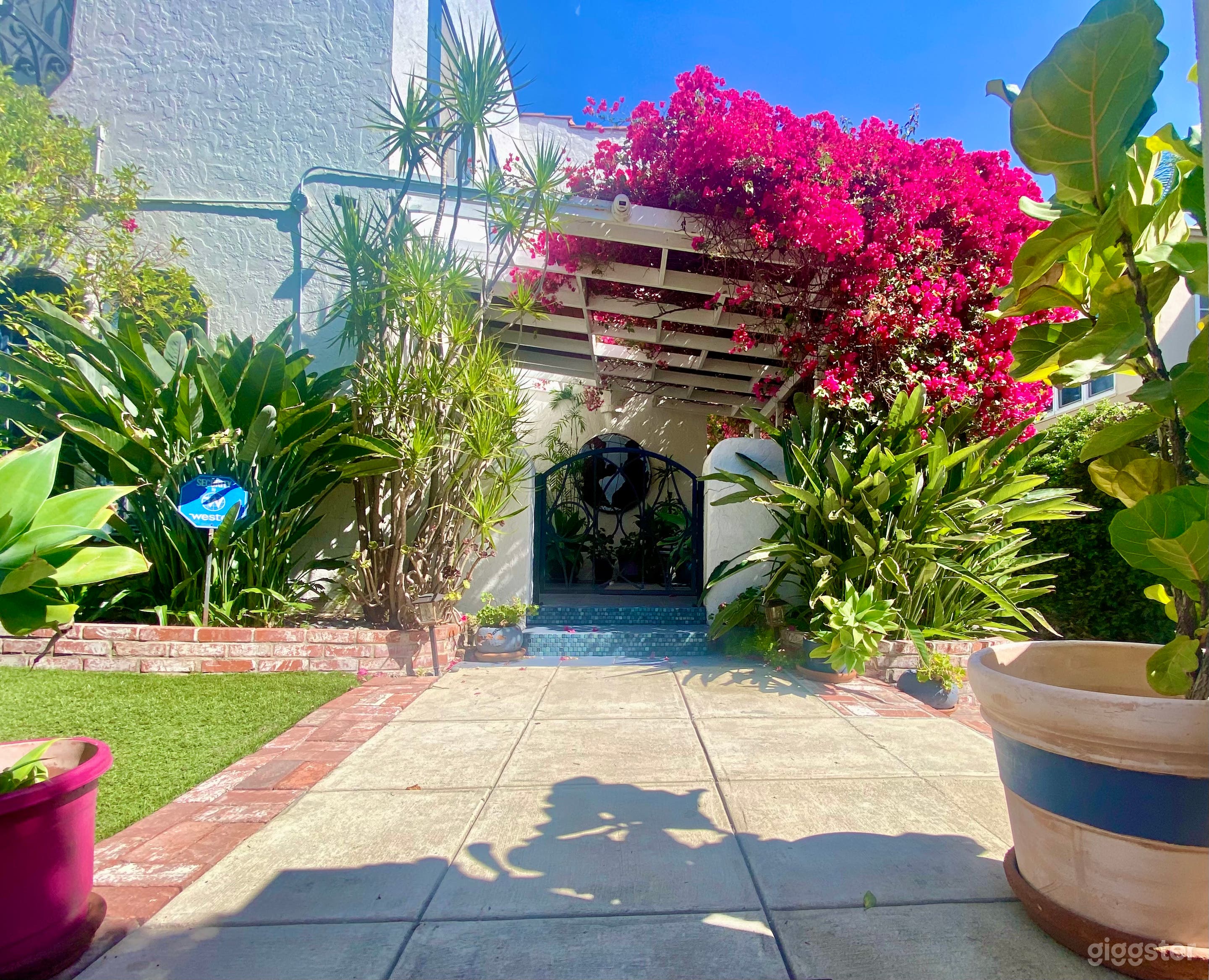 Cinematic Studio + Mature Garden Oasis in Hollywood Photo 2