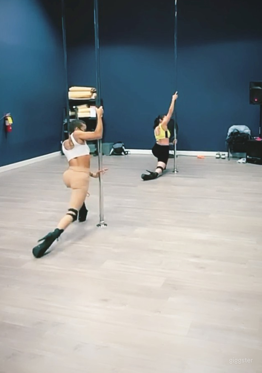 Secret Garden Pole Fitness Boutique Photo 4