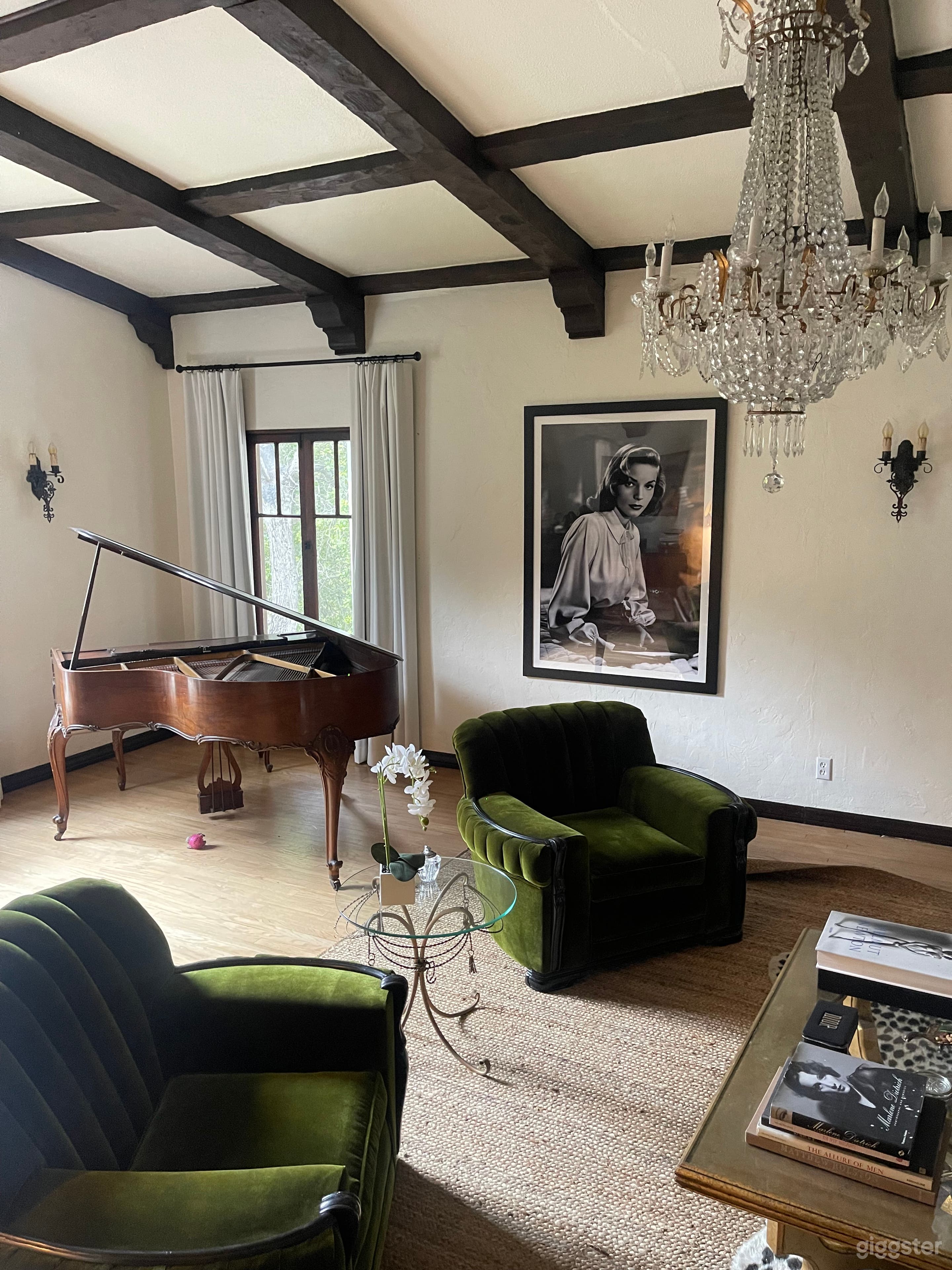 Old Hollywood Glamour Interior Designer Home Photo 2