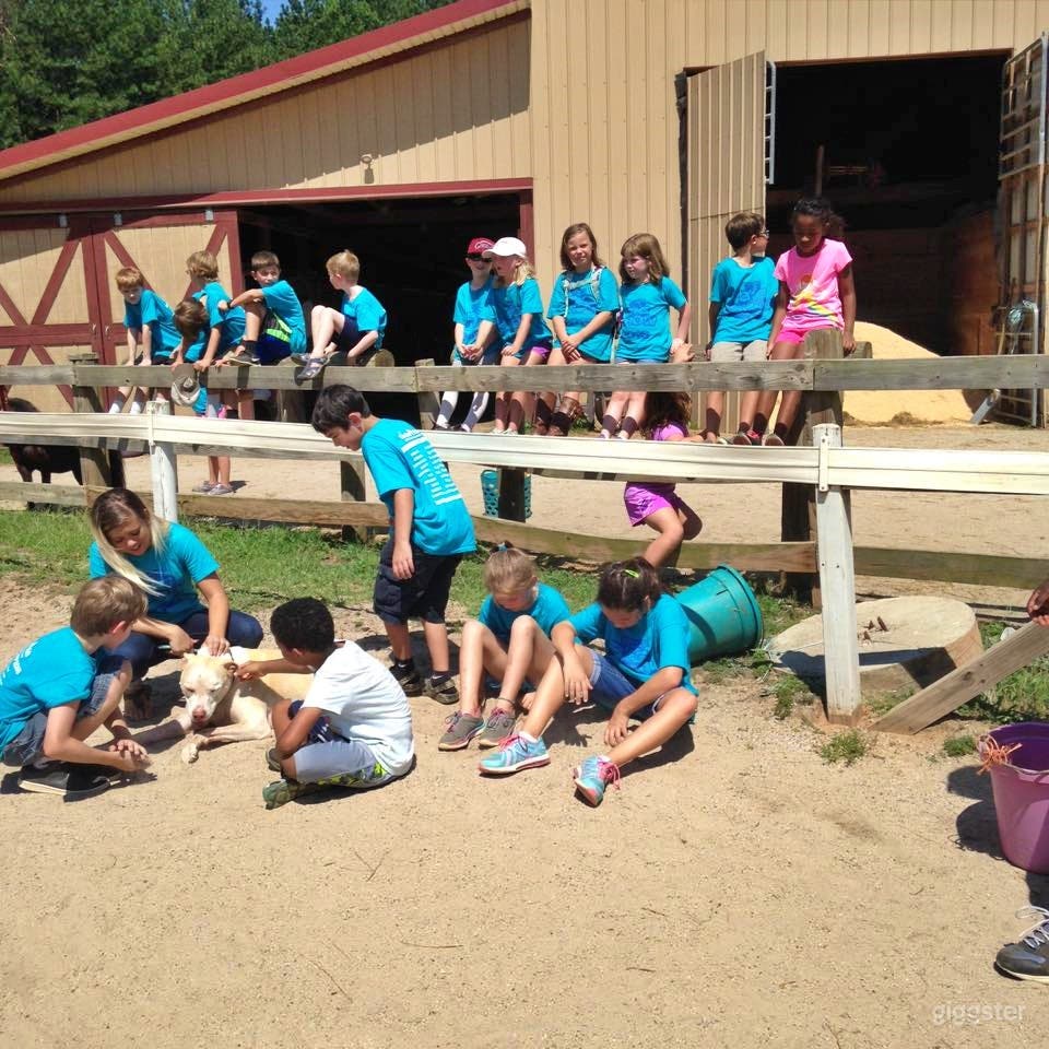 The Classic Barn Photo 4