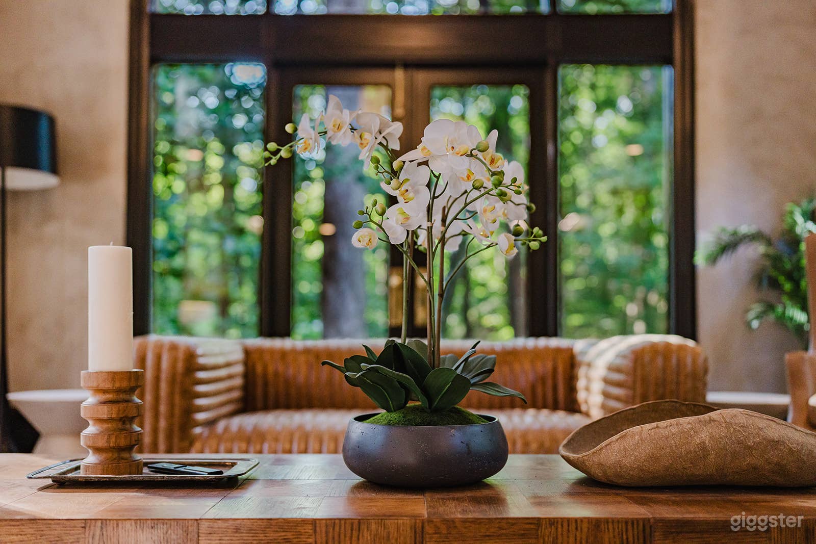 Focal shot of coffee table and forest views