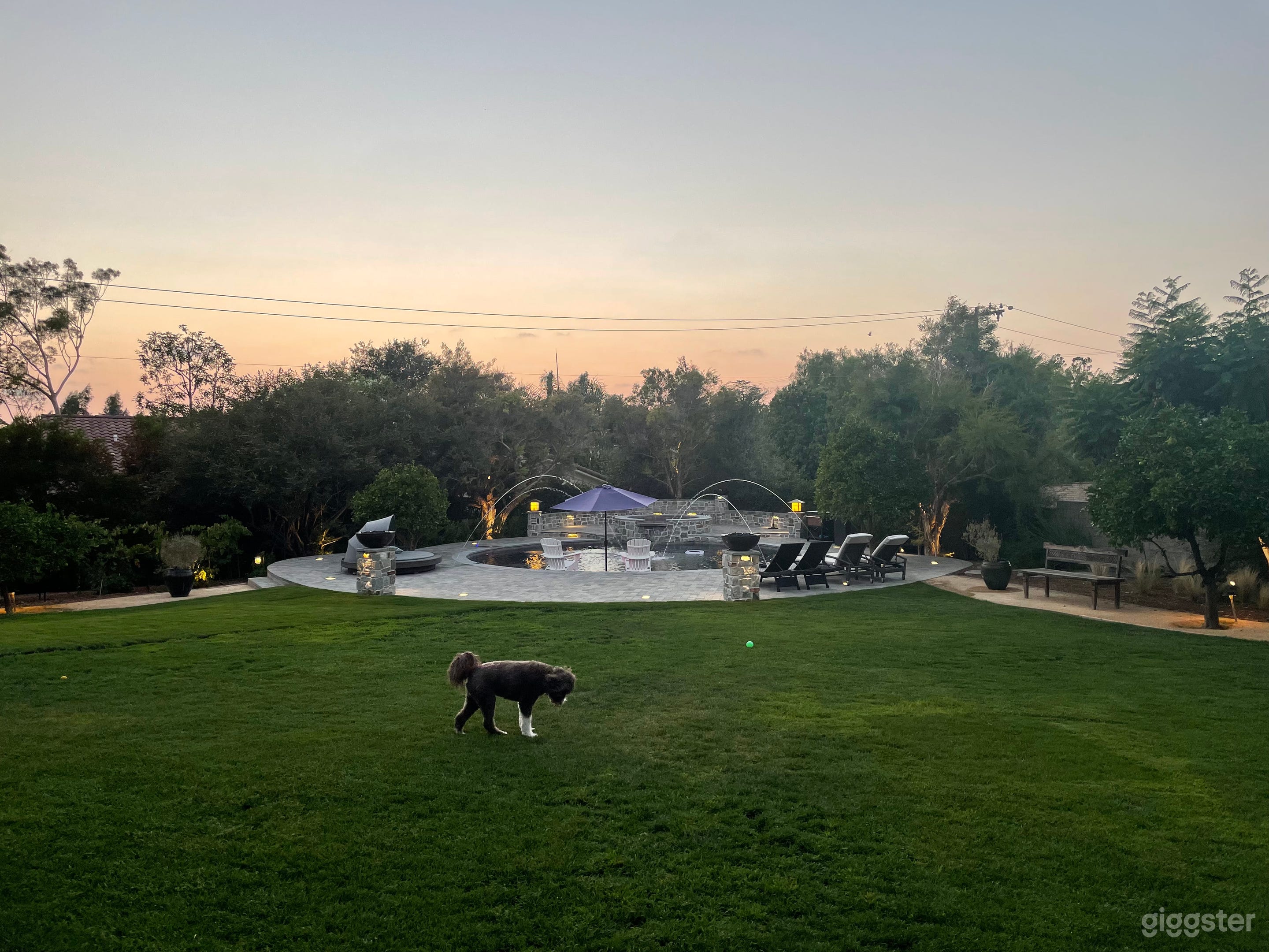 Luxurious Round Craftsman Pool and Huge Backyard Photo 4