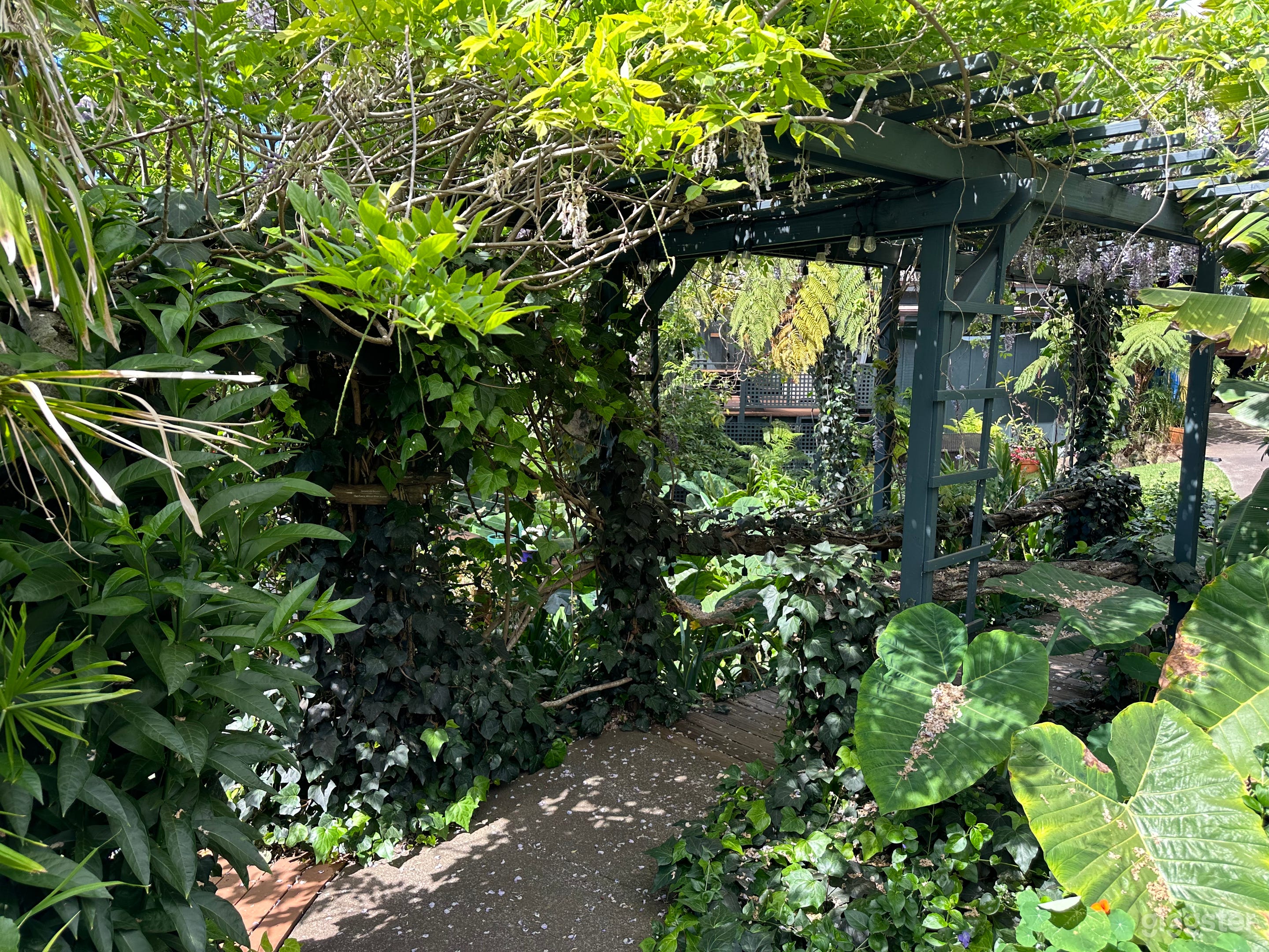 Scenic Upcountry Maui Garden Photo 3