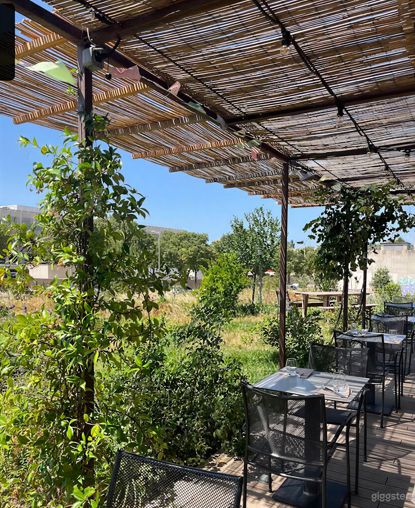 Photo de Patio Jardin Moderne avec Vue Panoramique et Terrasse 4