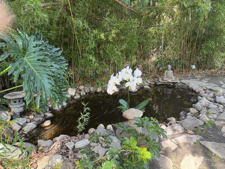  Large & Upscale Pool Backyard in the heart of Cheviot Hills 