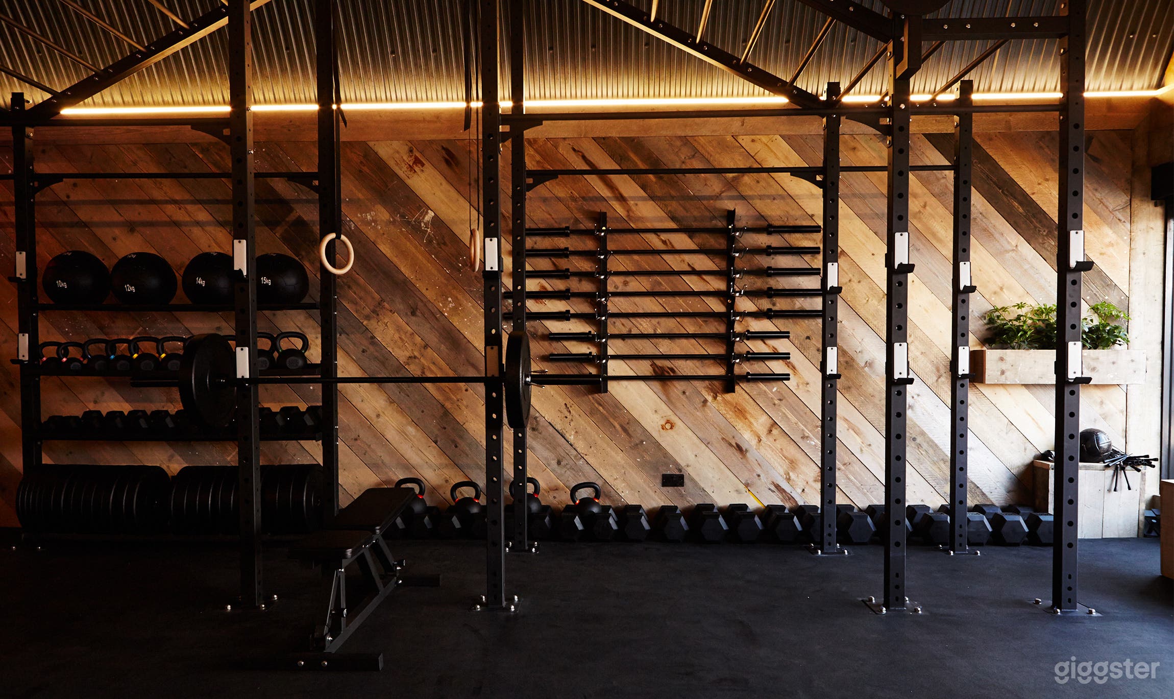 Terra Hale Personal Training &amp; Body transformations Photo 1