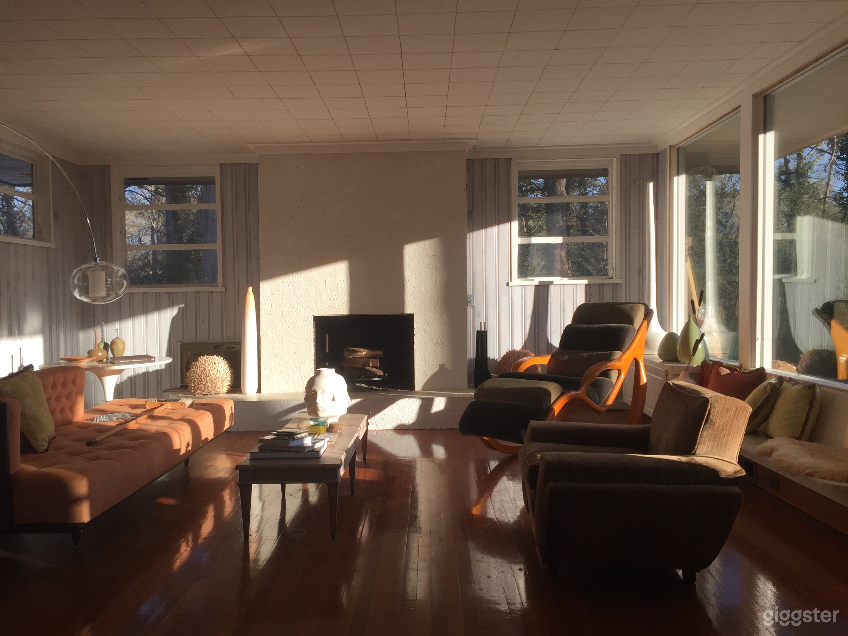 Mid century modern in the woods. Photo 1